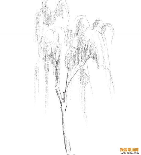 柳树怎么画图片，柳树怎么画图片好看（素描垂柳的绘画技法）