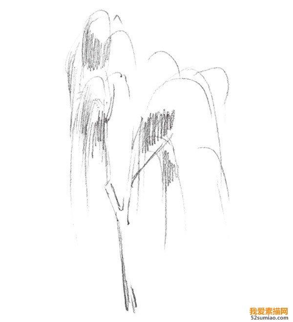 柳树怎么画图片，柳树怎么画图片好看（素描垂柳的绘画技法）