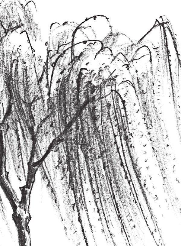 素描柳树怎么画图片
