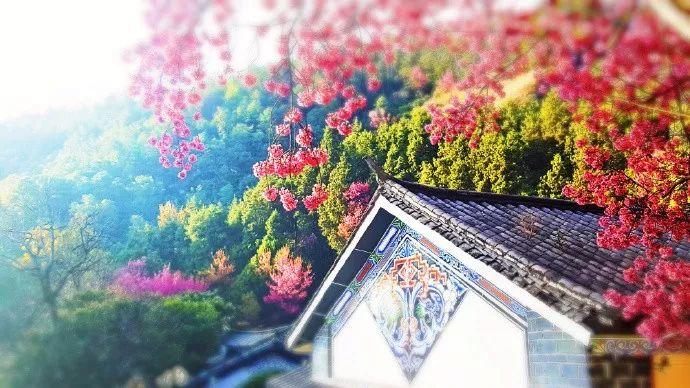 一言难尽什么意思，可以代替所有一言难尽