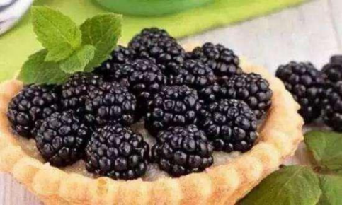 桑皮的功效与作用，桑皮的功效和作用美容（一棵桑树竟然有这么多种中药材）