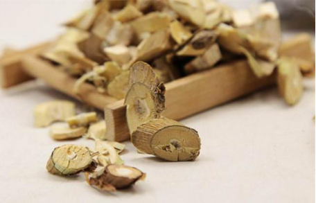 桑皮的功效与作用，桑皮的功效和作用美容（一棵桑树竟然有这么多种中药材）