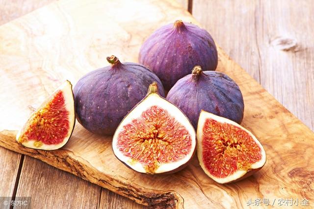 无花果为什么叫无花果，无花果为什么叫无花果小鸡（无花果为什么叫它无花果）