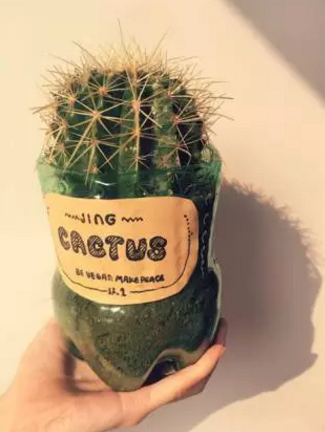 矿泉水瓶手工制作花瓶，趣味变废为宝手工制作（用来养花实在太棒了）