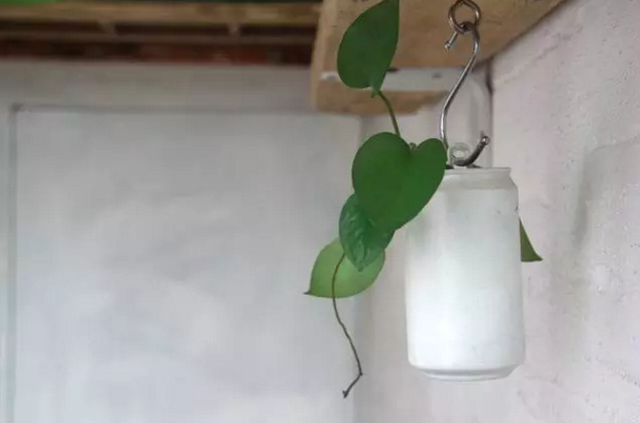 矿泉水瓶手工制作花瓶，趣味变废为宝手工制作（用来养花实在太棒了）