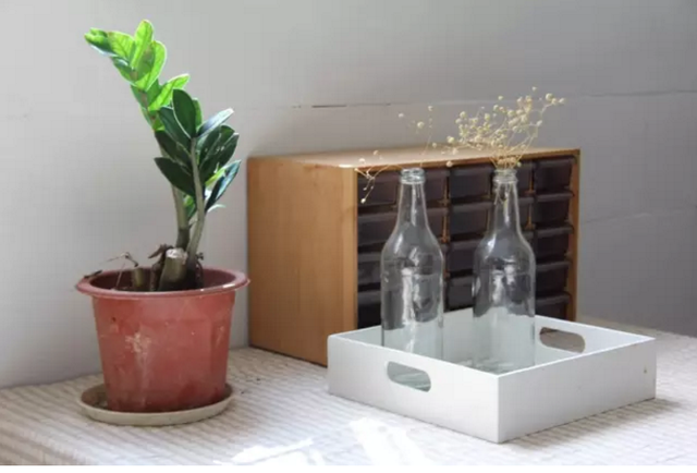 矿泉水瓶手工制作花瓶，趣味变废为宝手工制作（用来养花实在太棒了）