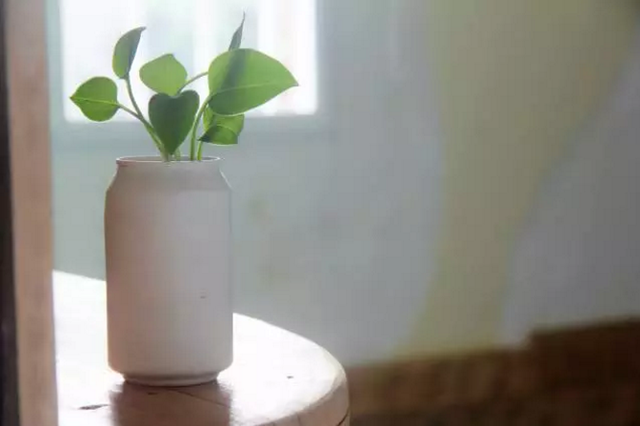 矿泉水瓶手工制作花瓶，趣味变废为宝手工制作（用来养花实在太棒了）