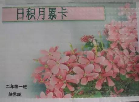 什么叫做与作业本大小的软面抄，软面抄本是什么（语文积累：一本规范的作业本）