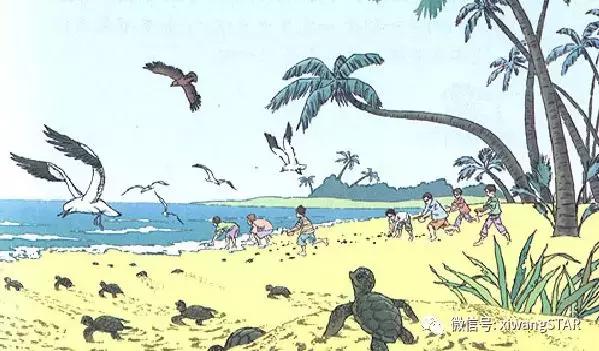 带到的成语有哪些啊，带到字的成语有哪些成语（人教版四年级语文下册第三单元知识点）