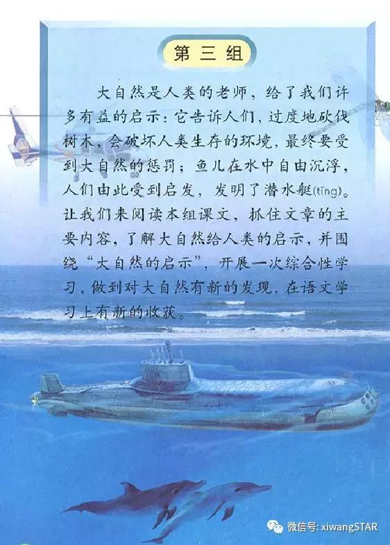 带到的成语有哪些啊，带到字的成语有哪些成语（人教版四年级语文下册第三单元知识点）