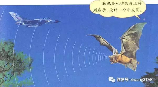 带到的成语有哪些啊，带到字的成语有哪些成语（人教版四年级语文下册第三单元知识点）