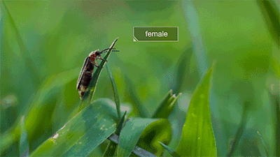 400_225gif 动态图 动图