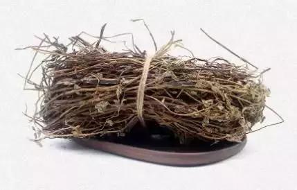 仙草是什么，红楼梦中绛珠仙草是什么（烧仙草，到底是什么草）