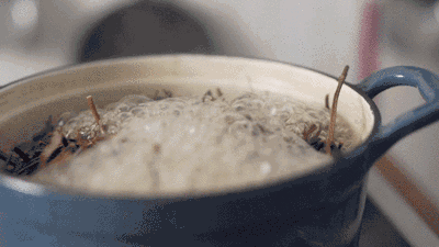 仙草是什么，红楼梦中绛珠仙草是什么（烧仙草，到底是什么草）