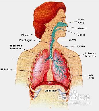 五音不全ktv必点，KTV唱歌五音不全唱歌需要技巧的KTV唱歌五音不全