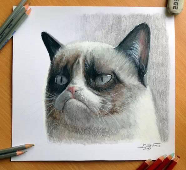 简单几步画一只可爱的小猫，一步一步画一只小猫咪简单（教你快速学会画猫咪）