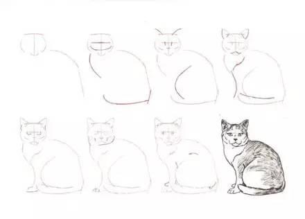 简单几步画一只可爱的小猫，一步一步画一只小猫咪简单（教你快速学会画猫咪）