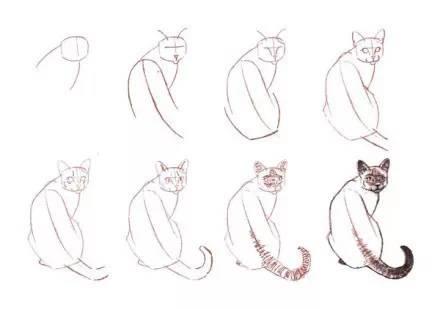 简单几步画一只可爱的小猫，一步一步画一只小猫咪简单（教你快速学会画猫咪）