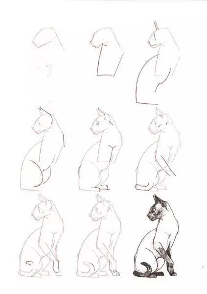 简单几步画一只可爱的小猫，一步一步画一只小猫咪简单（教你快速学会画猫咪）