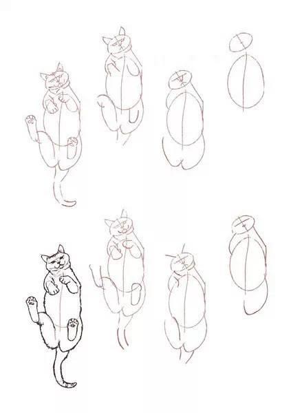 简单几步画一只可爱的小猫，一步一步画一只小猫咪简单（教你快速学会画猫咪）