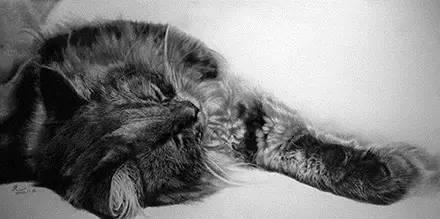 简单几步画一只可爱的小猫，一步一步画一只小猫咪简单（教你快速学会画猫咪）