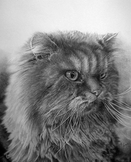 简单几步画一只可爱的小猫，一步一步画一只小猫咪简单（教你快速学会画猫咪）