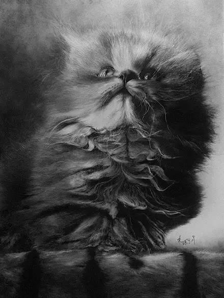 简单几步画一只可爱的小猫，一步一步画一只小猫咪简单（教你快速学会画猫咪）
