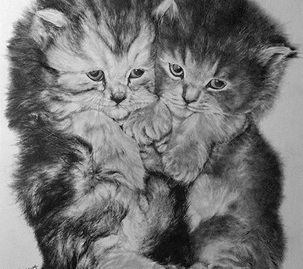 简单几步画一只可爱的小猫，一步一步画一只小猫咪简单（教你快速学会画猫咪）