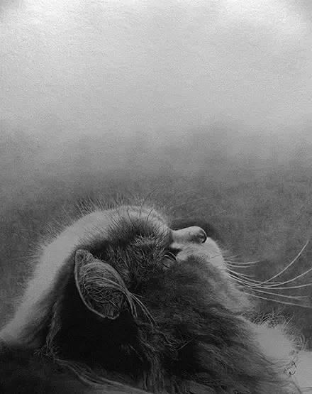 简单几步画一只可爱的小猫，一步一步画一只小猫咪简单（教你快速学会画猫咪）
