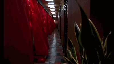 无脚鸟用来比喻什么人，无脚的鸟的寓意是什么（最暧昧最闷骚又最浪漫最纯情）