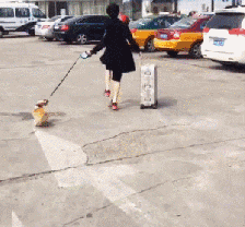 床前明月光搞笑版，搞笑的静夜思有多少版本（幽默一笑：床前明月光）