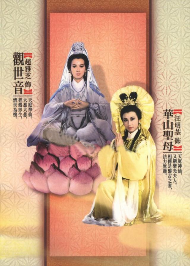 电影杨门女将演员表，张柏芝杨门女将演员表（59位TVB明星齐上阵）