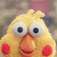 查良镛怎么读，查良镛怎么读姓氏（求求你，别再读错我的姓！）