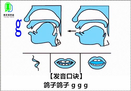 g拼音格式怎么写的(拼音g的正确写法顺序)