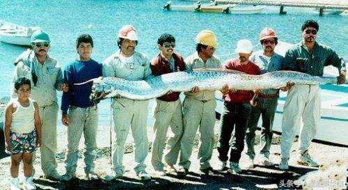 龙王为什么姓敖，敖姓好听到爆炸的名字（龙王为什么都姓敖）