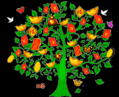 摇钱树唯美图片(摇钱树照片) - 农业 - 爱宁信息网