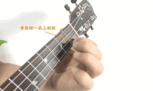 尤克里里几根弦，乐器尤克里里有几根弦（按弦手指应该怎么分配）