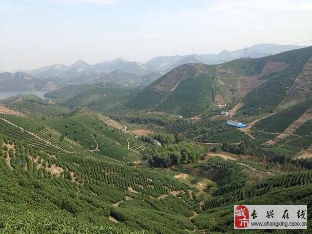 长兴县属于哪个市，浙江长兴县属于哪个市（美丽浙江——长兴）