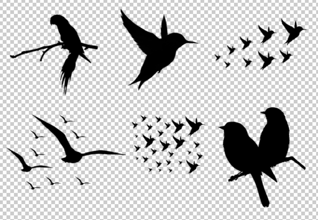 PS如何保存画笔预设数据，ps怎么保存画笔预设（PS素材不会用系列——笔刷篇）