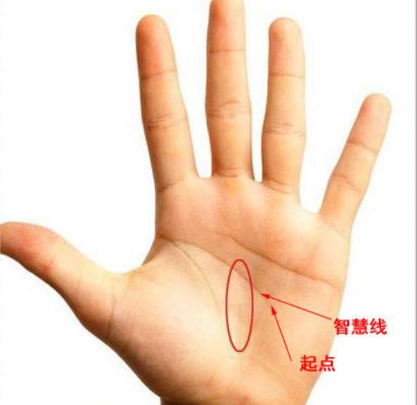 手掌侧面的横纹手相,看一下自己手掌上有三条掌纹线暗示着你的前途