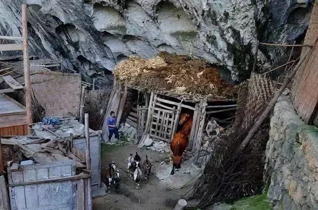 溶洞的资料，溶洞的资料简介（贵州是座“洞府迷宫”）