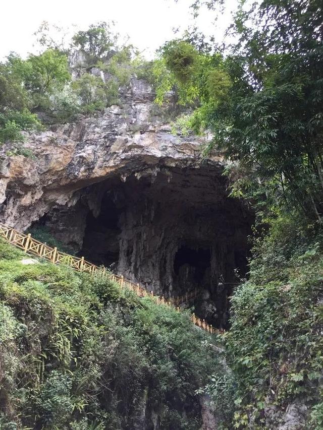 溶洞的资料，溶洞的资料简介（贵州是座“洞府迷宫”）