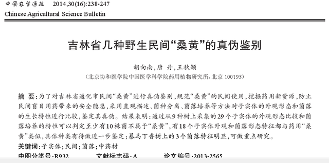 桑黄的功效与作用及食用方法，桑黄的功效与作用吃法（桑黄——你应知道的低调而“奢华”的药用真菌）