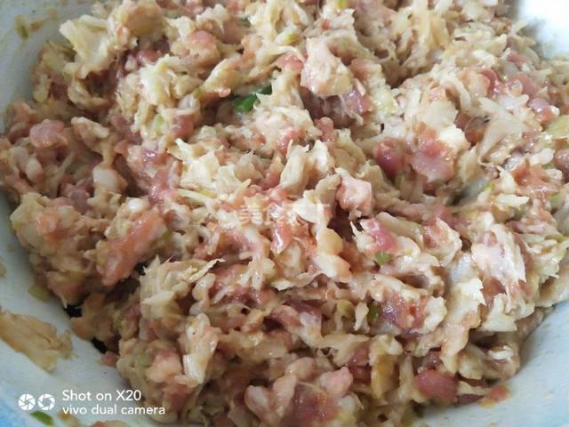 煎饺怎么做最好吃的，生煎、熟煎都可以如此美味