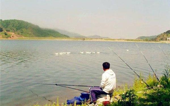 掌握这招鱼塘钓草鱼神速上钩，新手也能轻松爆护不再空手而归