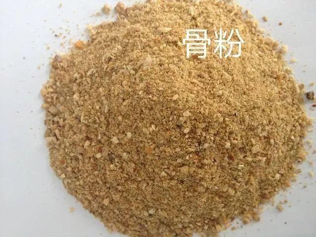 多肉开花意味着什么，多肉开花代表什么是好还是不好（究竟是福还是祸）