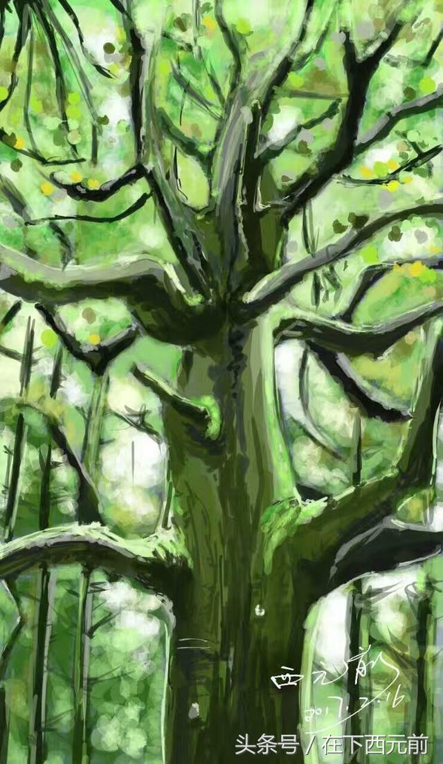 手机绘画软件哪个好，手机绘图软件哪个好（手机上的photoshop）