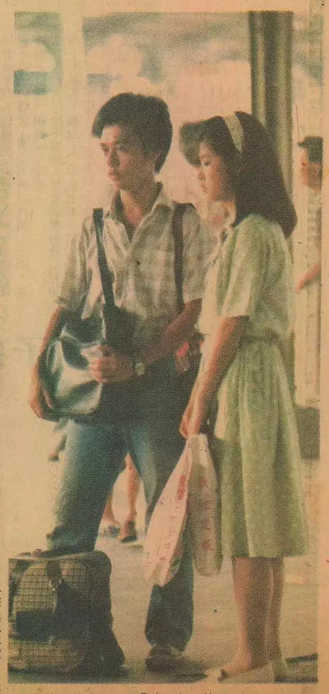 恋恋风尘歌词，恋恋风尘歌词表达是什么意思（恋恋风尘：爱过的人是青春）