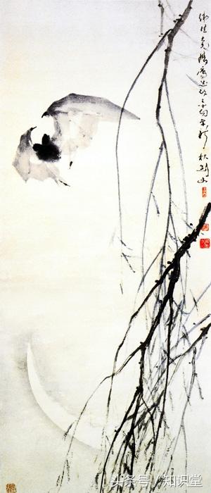 蝙蝠属不属于鸟类，蝙蝠算不算鸟类（蝙蝠到底是飞禽还是走兽）