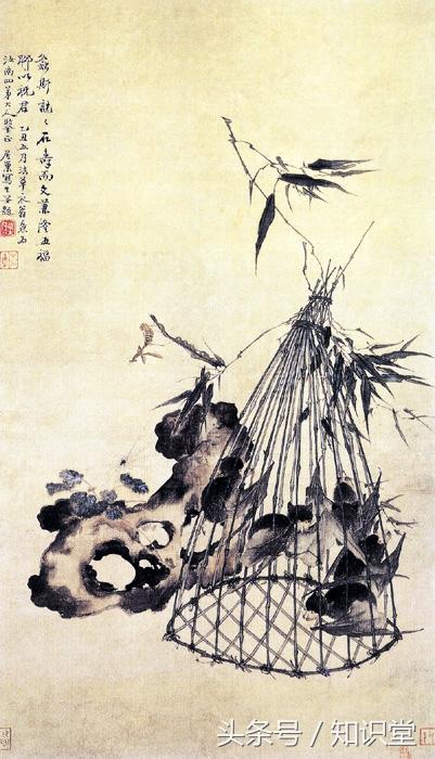 蝙蝠属不属于鸟类，蝙蝠算不算鸟类（蝙蝠到底是飞禽还是走兽）